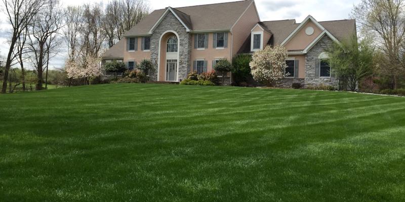 House with beautiful front yard